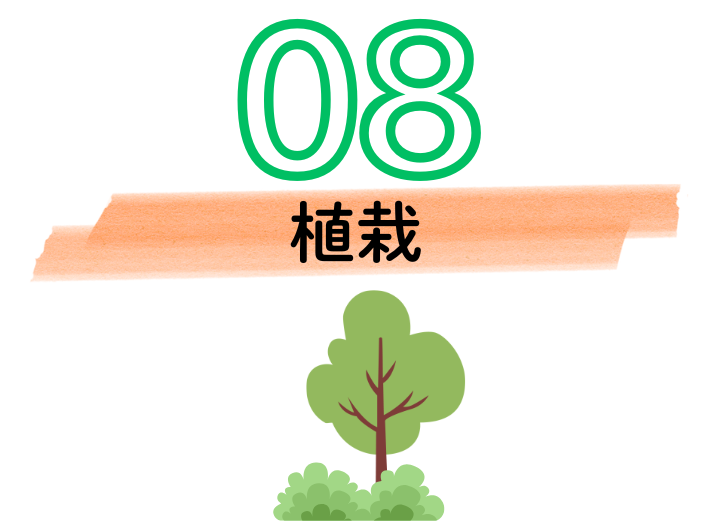 8.png